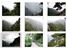 wp-content/uploads/2011/03/albume-icon.jpg