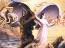 wp-content/uploads/2011/03/reincarnation-icon.jpg