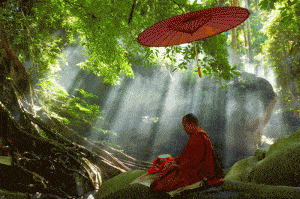 meditație
